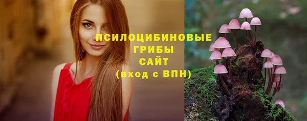 не бодяженный Алзамай
