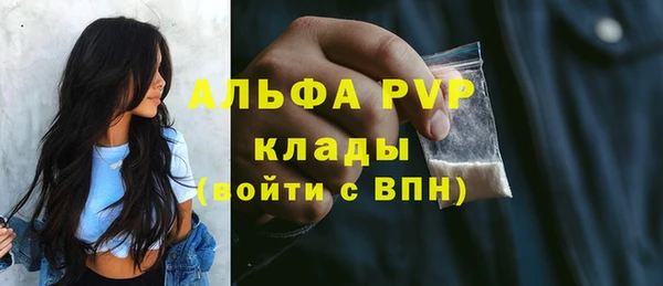 гидра Алексеевка