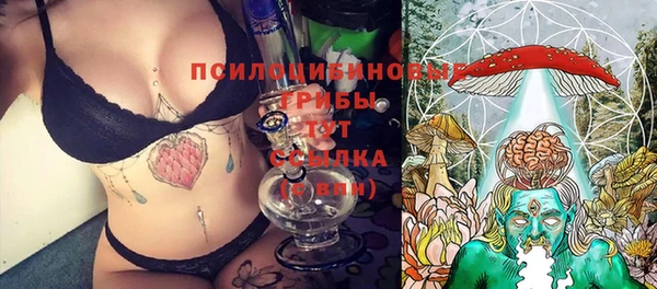 не бодяженный Алзамай