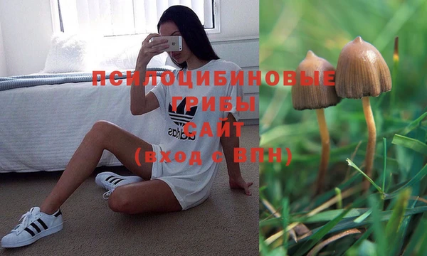 не бодяженный Алзамай